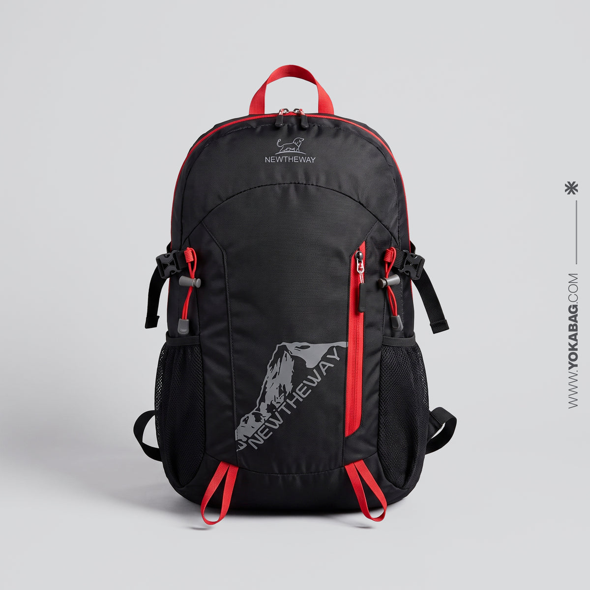 Sac à Dos Pliable Voyager - Pocket Bag (22L)