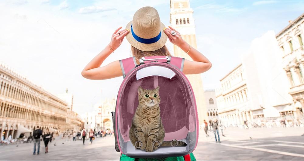Sac de Voyage Chat - La Grande Aventure – vue 9 – Yokabag