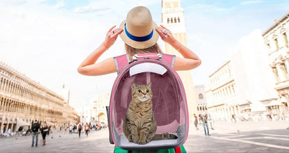 Sac de Voyage Chat - La Grande Aventure – vue 9 – Yokabag